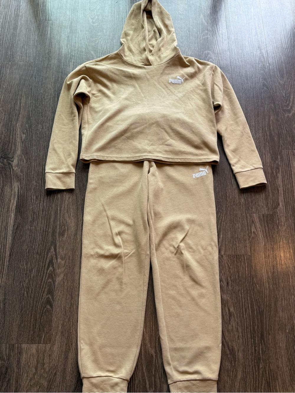 Puma Kids Tan Hooded Sweatshirt & Jogger Set